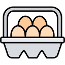 carton de huevos icon