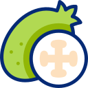 feijoa 