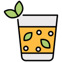 mojito icon