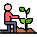 plantación icon