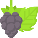 marionberry icon