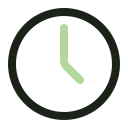 reloj icon