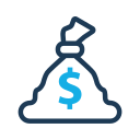 Money icon