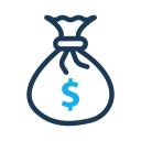 Money icon