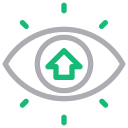 ojo icon