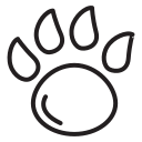 animal icon