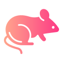 ratón