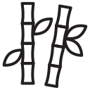 Health 