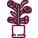 plantas icon