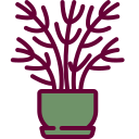 naturaleza icon