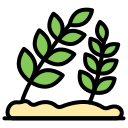 naturaleza icon