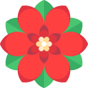 flor de pascua icon