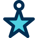 estrella de navidad icon