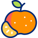 mandarina icon