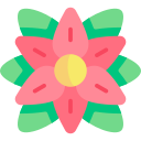 flor de pascua icon