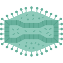 Инфекционное заболевание 