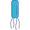 infecção icon