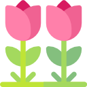 tulipanes icon