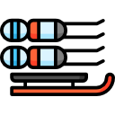 luge icon