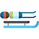 luge icon