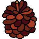 Pine cone icon