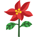 flor de pascua icon