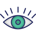 ojo icon