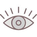 ojo icon