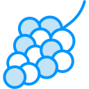 uvas icon