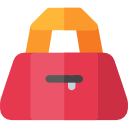 bolso icon