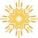 estrella de navidad icon