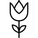 blumen icon