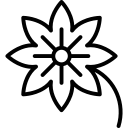 blumen icon