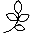 blumen icon