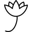 blumen icon