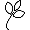 blumen icon
