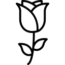 amour icon