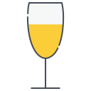 copa de vino icon