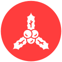 acebo icon