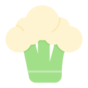 coliflor icon