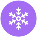 copo de nieve icon