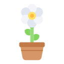 flor 