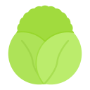 lechuga icon