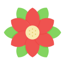 flor de pascua icon