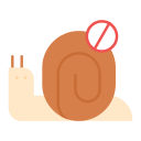 caracol icon