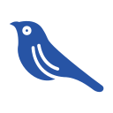 pájaro icon