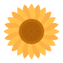 girasol icon