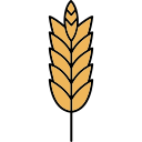 보리 