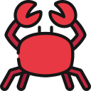 Crab 