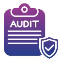 auditoría icon